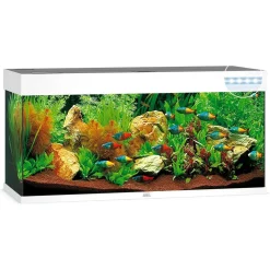Juwel Rio 240 L Hvid 121x41x55 cm