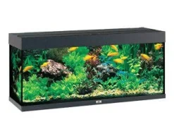Juwel Rio 240 L Sort 121x41x55 cm