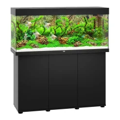 Juwel Rio 240 L Sort 121x41x55 cm