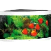 Juwel Trigon 350 Hvidt Akvarium