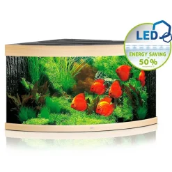 Juwel Trigon 350 LED Eg Aquarium