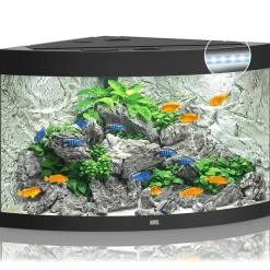 Juwel Trigon 190 LED Sort Aquarium