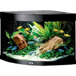 Juwel Trigon 190 LED Sort Aquarium