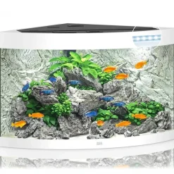 Juwel Trigon 190 L hvidt Aquarium