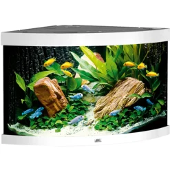 Juwel Trigon 190 L hvidt Aquarium