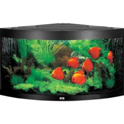 Juwel Trigon 350 Sort Akvarium