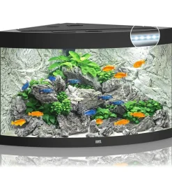 Juwel Trigon 350 Sort Akvarium