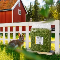 1,5 kg Urtehø To Gode Naboer Hø - Rig på mineraler