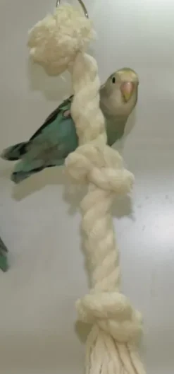 Klatrereb med knuder 38 cm