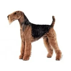 Klistermærke af Airedale Terrier Mini