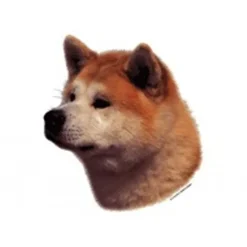 Klistermærke af Akita Inu Hoved Mini