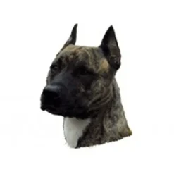 Klistermærke af Amerikansk Staffordshire Terrier Hvalp Hoved Mini