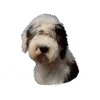 Klistermærke af Old English Sheepdog stor