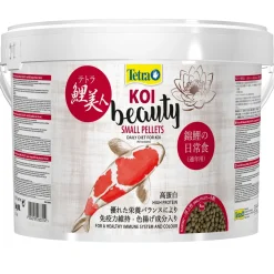 Koi Beauty Small 10 Liter