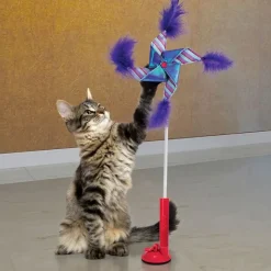 Kong Cat Connects Switch Teaser Pinwheel