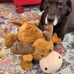 Kong Cozie Marvin Moose Jumbo XL - kæmpe bamse til store hunde