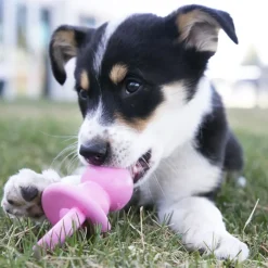 Kong Hundesut Puppy Binkie M - hvalpelegetøj til tygning og beroligelse