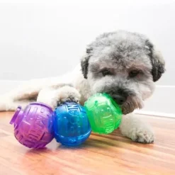KONG Lock it Small - snackbold til små hunde