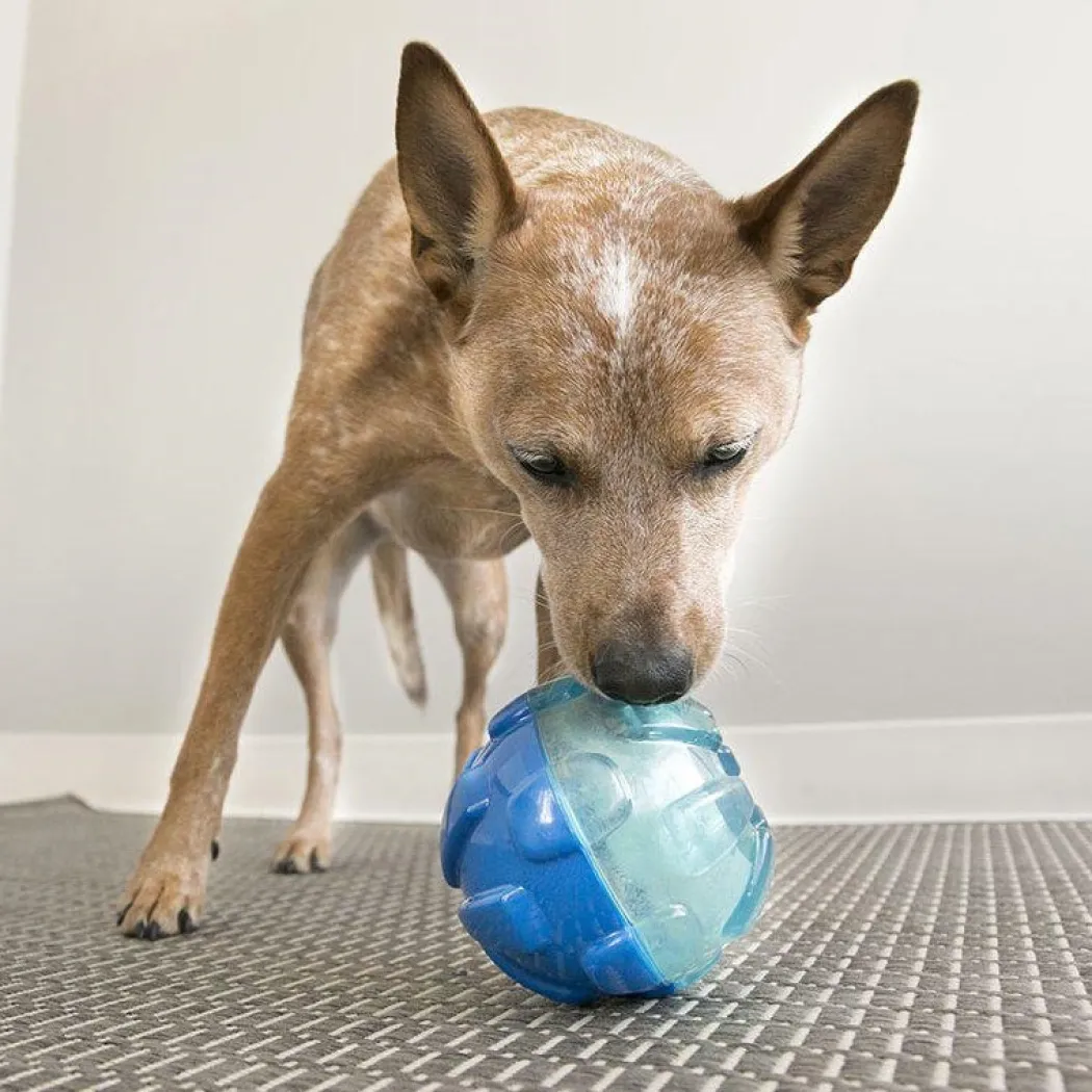 KONG Rewards Tinker M/L 14,5 cm - snacklegetøj til hunde