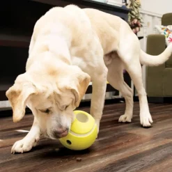 KONG Reward Tennis Gul Small 8 cm - aktiveringslegetøj til hunde