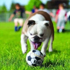 KONG Sport Apportbolde Medium 3-pak - sjove bolde til apportleg