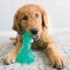 Kong Squeezz Dental Stick Grøn M 19 cm - pivelegetøj med tandpleje