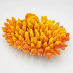 Kunstig koral Acropora millepora (Yellow/Pink)