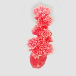 Kunstig koral Dendronephtya Pink eller Gul 13x11x18 cm