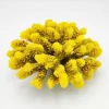 Kunstig koral Pocillopora verrucosa L (Yellow)