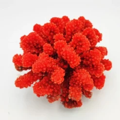 Kunstig koral Pocillopora verrucosa M (Red)
