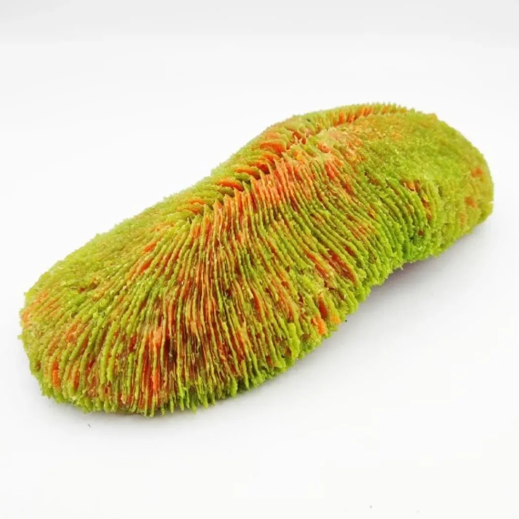 Kunstig koral Polyphyllia talpina (Green) 24x11x6 cm