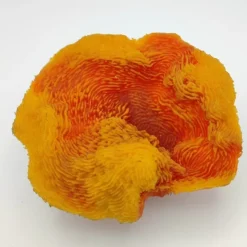 Kunstig koral Turbinaria reniformis (Orange) 17x16x7 cm