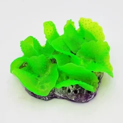 Kunstig koral Ulva lactuca (Green) 12x9x4 cm