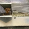 Labbur 4 (rottebur) brugt