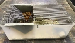 Labbur 4 (rottebur) brugt