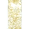 Levende hvide myggelarver 90 ml (levende foder) 5 stk