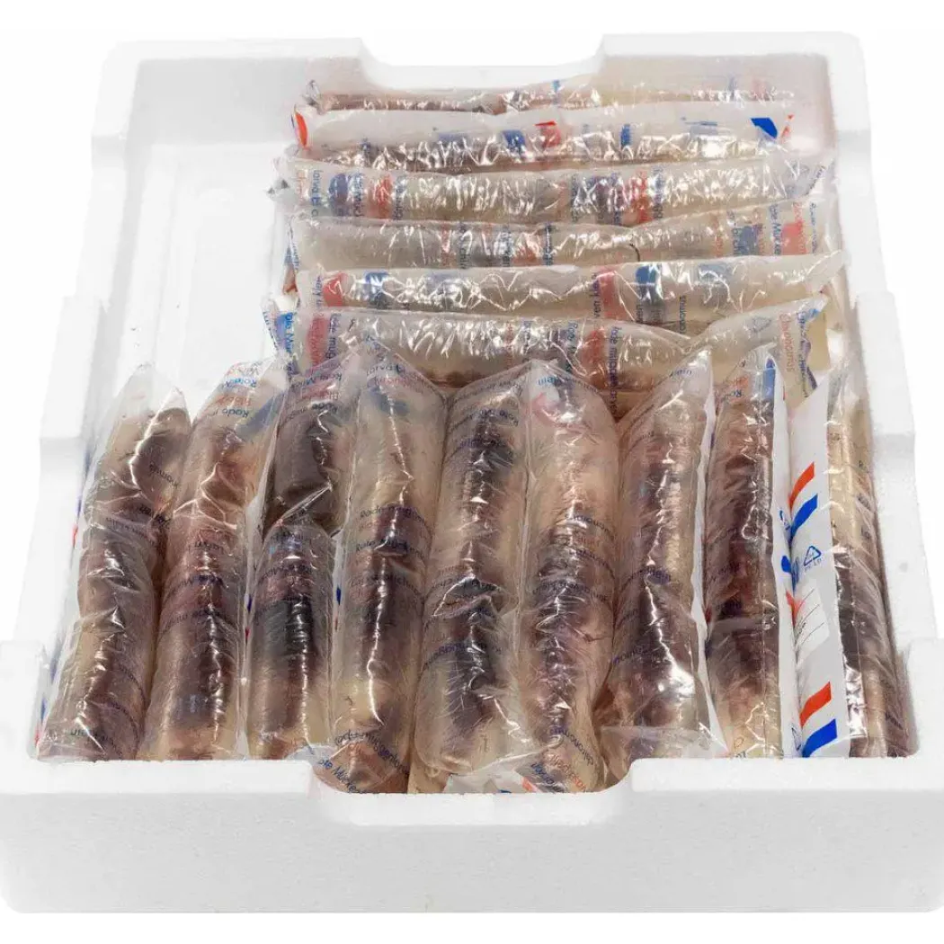 Levende Røde myggelarver 90 ml (levende foder - Bloodworms) 5 stk