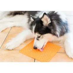 LickiMat Slikkemåtte 28 x 28 cm Grøn - aktiveringsmåtte til hunde