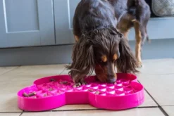 LickiMat Slowfeeder Slikkeplade 32 cm - slowfeeder plade til hunde