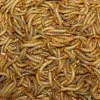 Melorme Tørret 1 kg