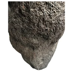 MiniZoo.dk Xaxim Træstamme Ø 30-40 cm XXL ca 1 meter