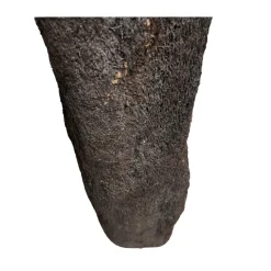 MiniZoo.dk Xaxim Træstamme Ø 30-40 cm XXL ca 1 meter