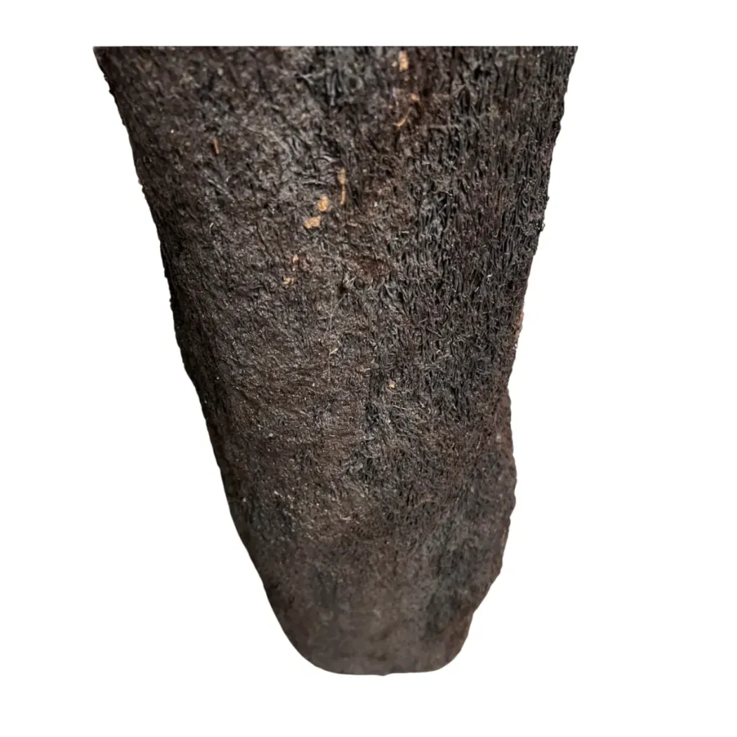 MiniZoo.dk Xaxim Træstamme Ø 30-40 cm XXL ca 1 meter