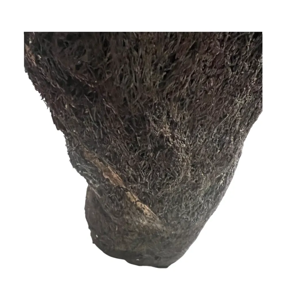 MiniZoo.dk Xaxim Træstamme Ø 30-40 cm XXL ca 1 meter