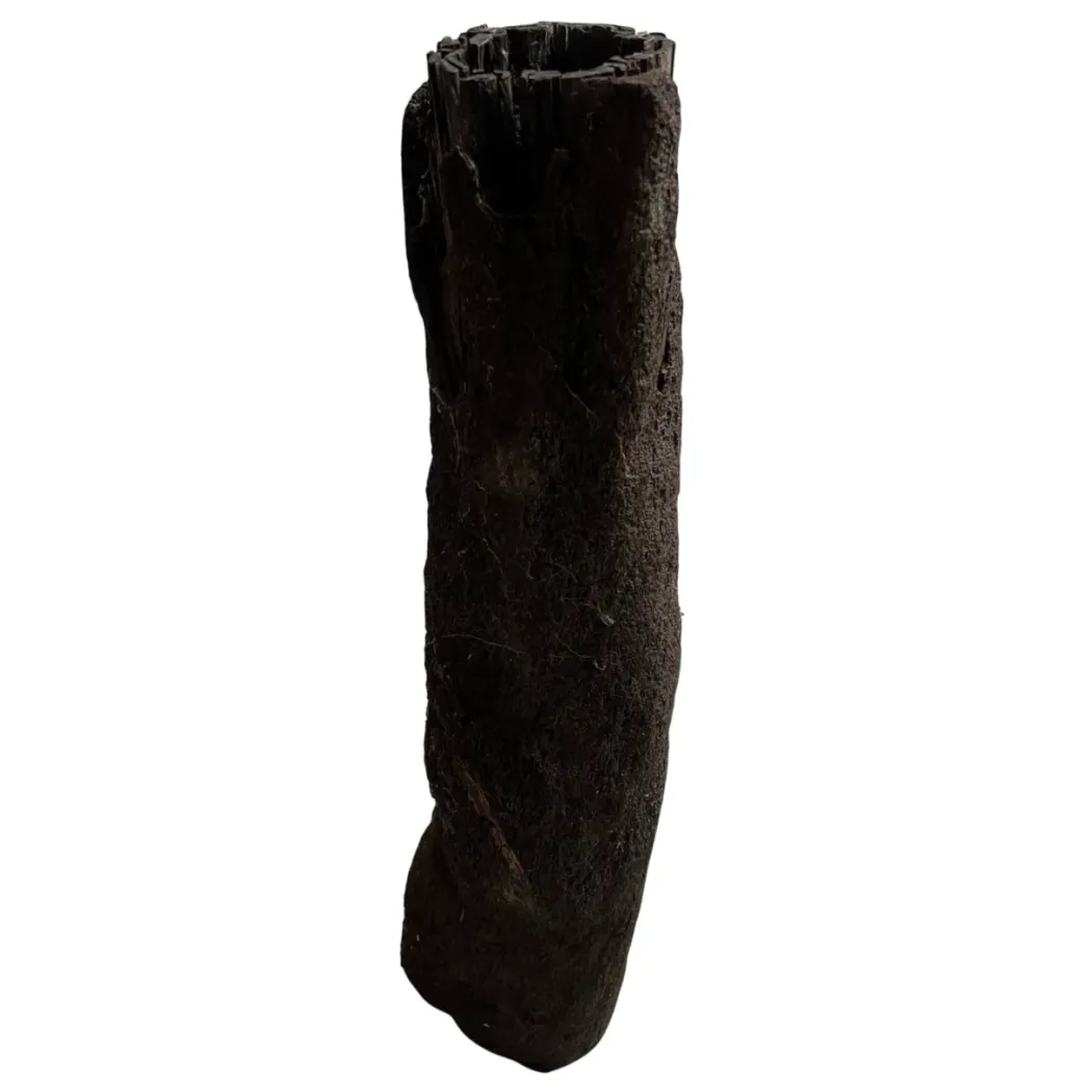 MiniZoo.dk Xaxim Træstamme Ø 30-40 cm XXL ca 1 meter