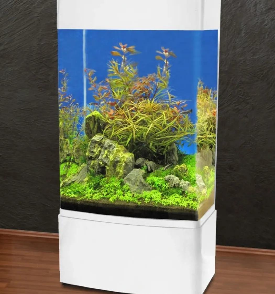 MiniZoo Søjle Akvarium 80 Hvid