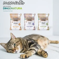 Moments Cat Digest snack 70 g