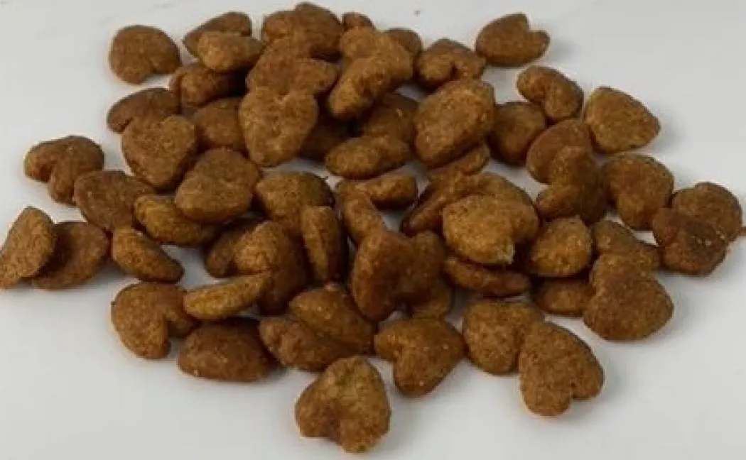 Moments Cat Digest snack 70 g