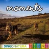 Moments hundesnack Iberisk skinke 60 g - naturlige hundegodbidder