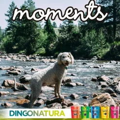 Moments hundesnack Kylling og Ost 60 g - naturlige hundegodbidder